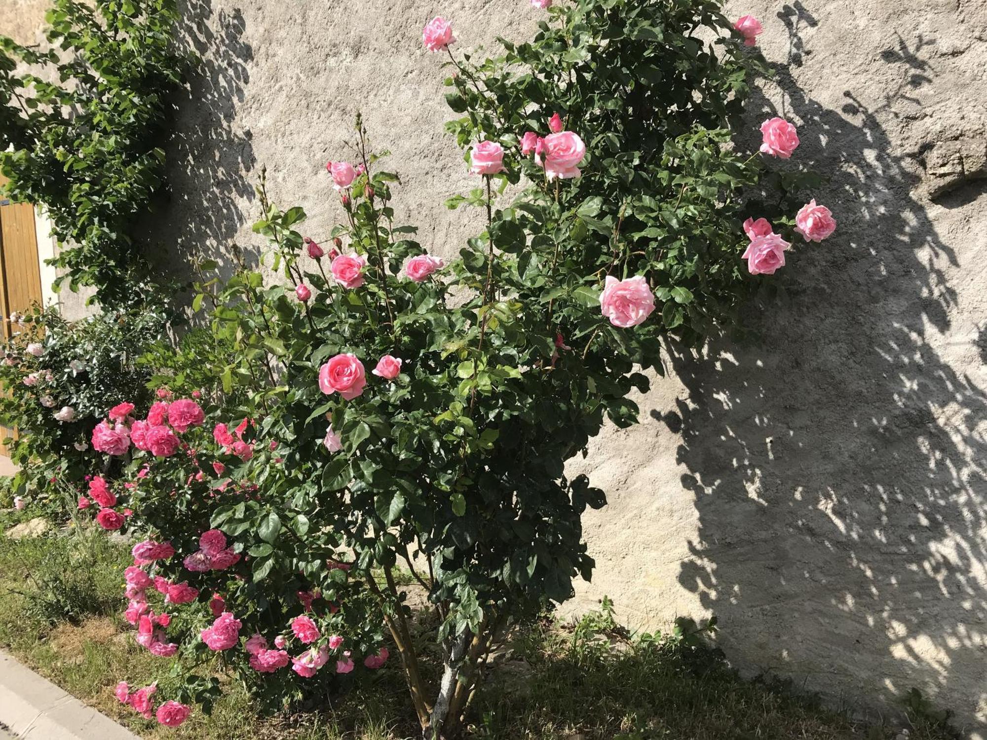 Gite Renove Avec Jardin, Proche Loisirs Et Commerces, A Une Heure De Nancy Et Metz - Fr-1-584-168 Autrepierre Dış mekan fotoğraf